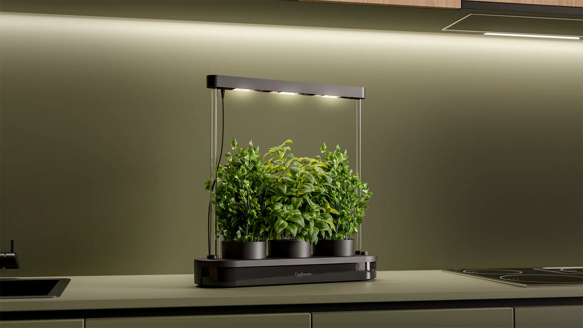 Upgreens Kitchenforest aus schwarzem Kunststoff mit moderner LED-Lampe und drei Töpfen mit Kräutern