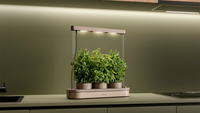 Upgreens Kitchenforest aus beigem Kunststoff mit moderner LED-Lampe und drei Töpfen mit Kräutern