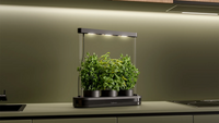 Upgreens Kitchenforest aus schwarzem Kunststoff mit moderner LED-Lampe und drei Töpfen mit Kräutern