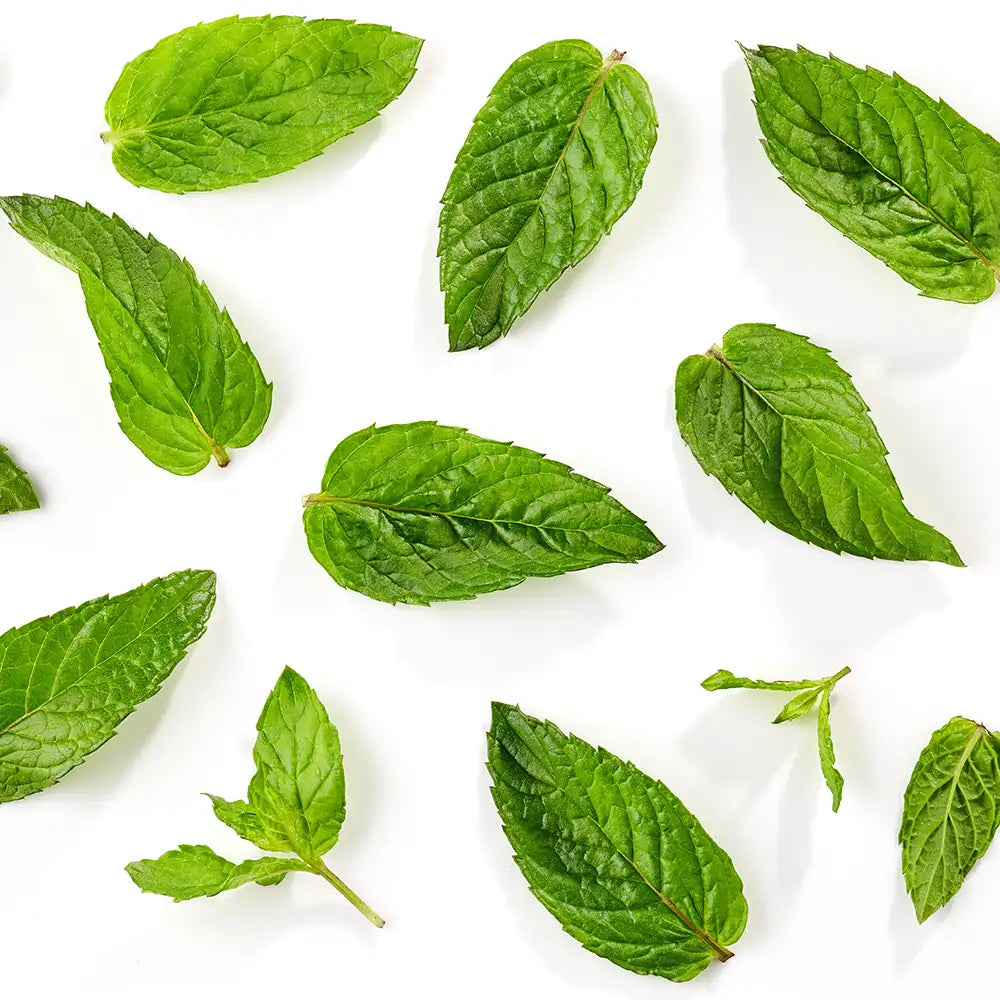 Mint